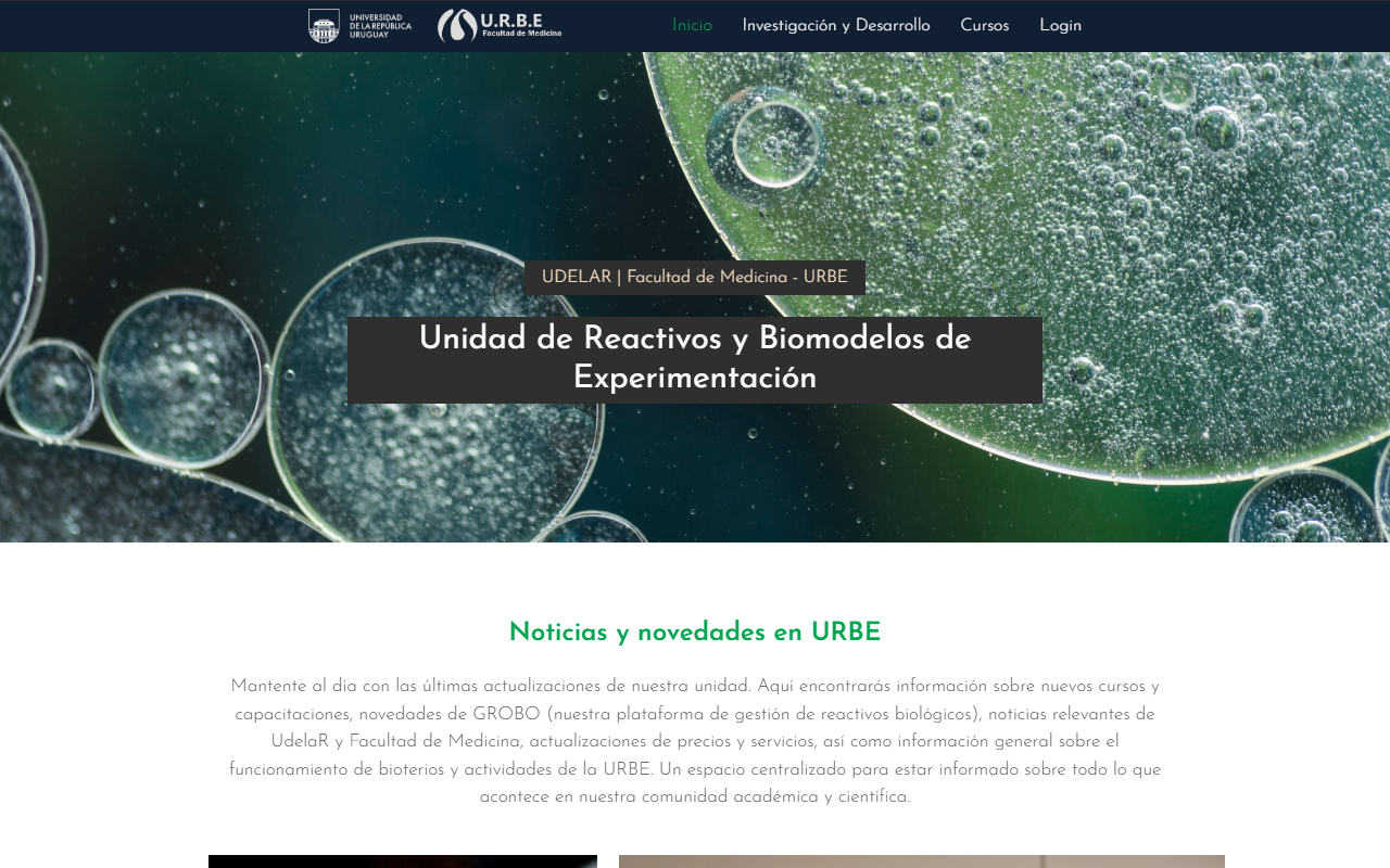 Desarrollo de portal web institucional en WordPress para URBE